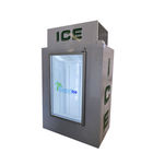 De commerciële van de het ijsopslag van de glasdeur koeler van het de diepvriezerijsblokje voor verkoop