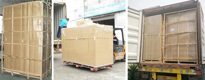 20GP commerciële Enige Gehelde Diepvriezer 9 van het Deurijsblokje