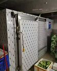 Mini Koud Bergruimte Luchtkoelingstype voor het Plantaardige Vruchten Bevriezen